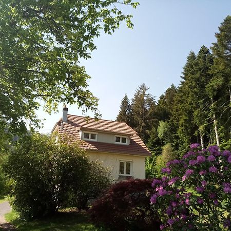 Vosges House 110 M2 In The Heart Of Nature L'Oree Du Bois Saint-Michel-sur-Meurthe Exterior photo